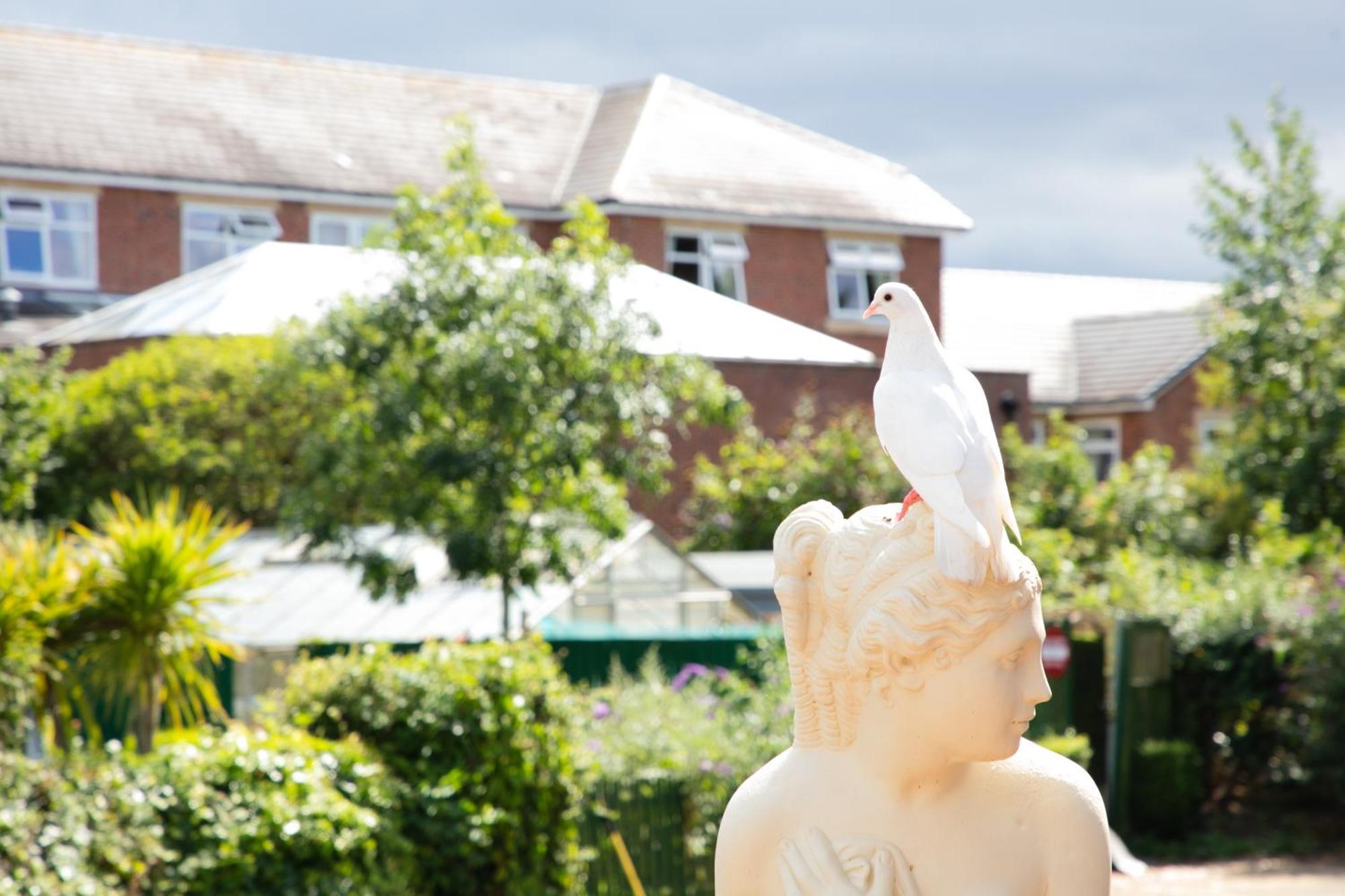 Dorset Arms Hotel Wallsend Luaran gambar
